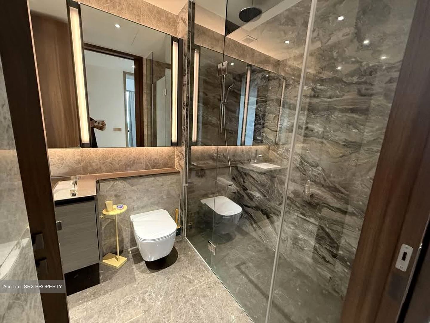 Leedon Green (D10), Condominium #561978561